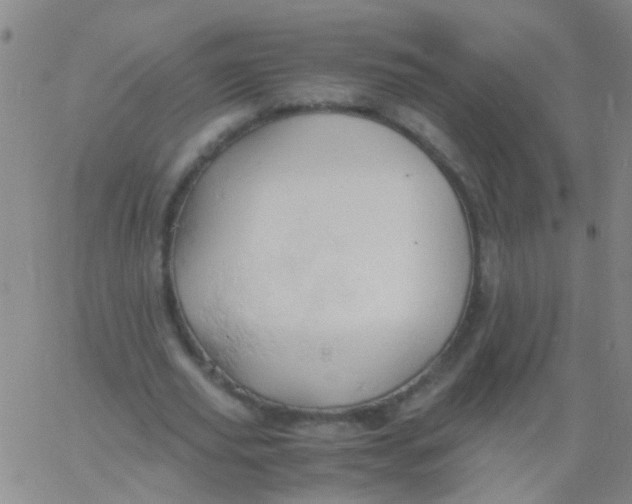 X0000061740629200512231501