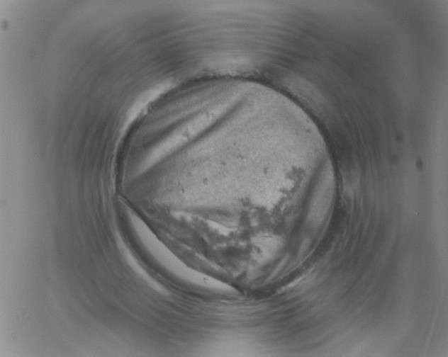 X0000061740630200512231501