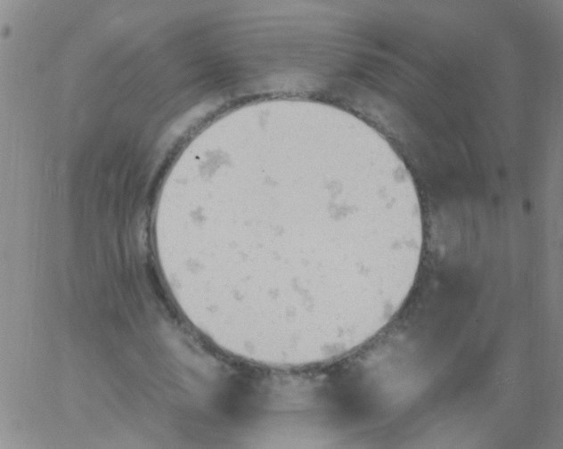 X0000061740632200512231501