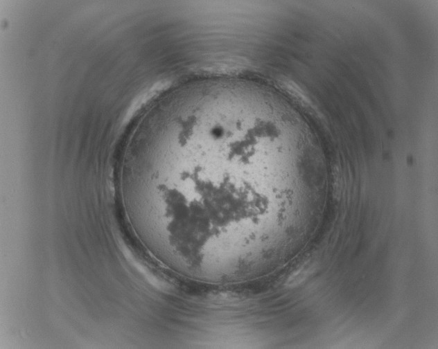 X0000061740634200512231501