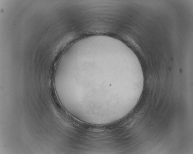 X0000061740635200512231501