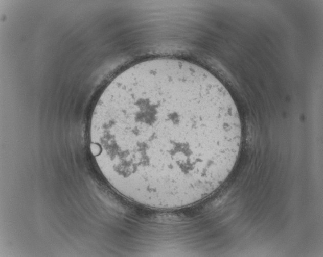 X0000061740636200512231501