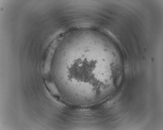 X0000061740637200512231501