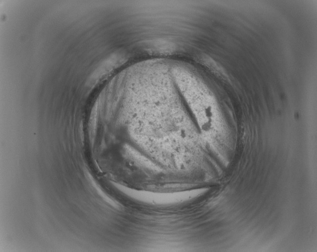 X0000061740638200512231501