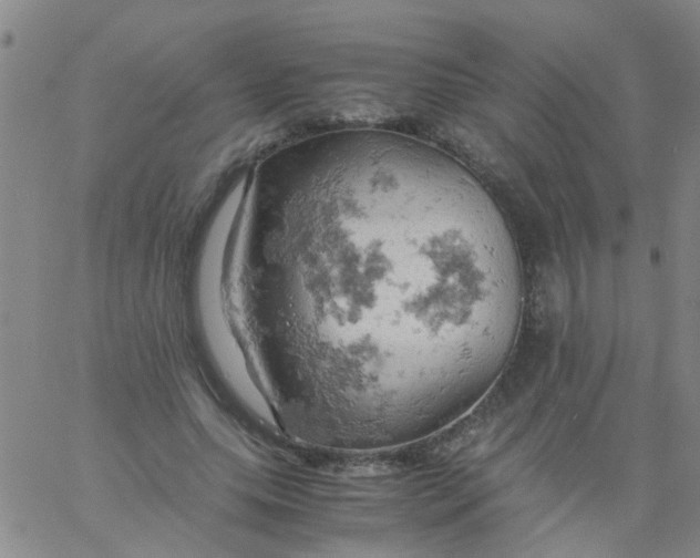 X0000061740639200512231501