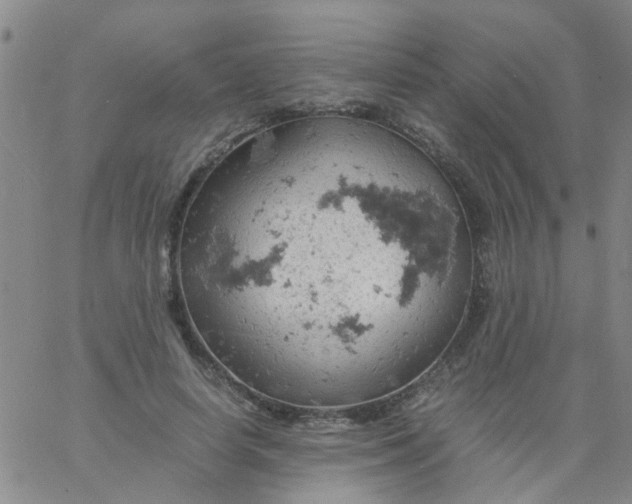 X0000061740642200512231501