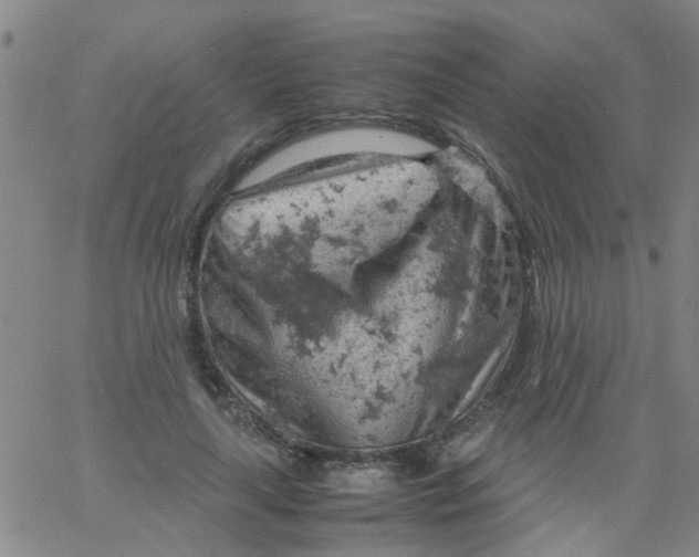 X0000061740643200512231501