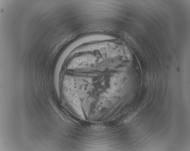 X0000061740644200512231501