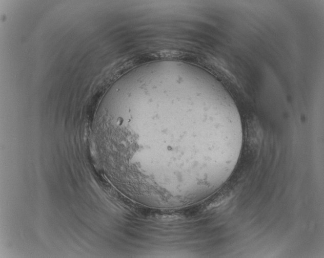 X0000061740645200512231501