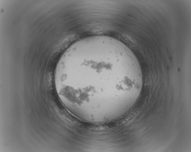 X0000061740646200512231501