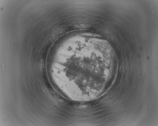 X0000061740647200512231501