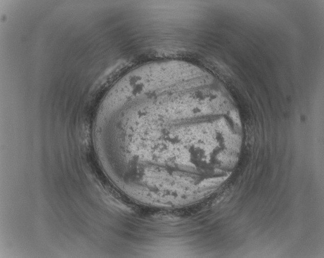 X0000061740648200512231501