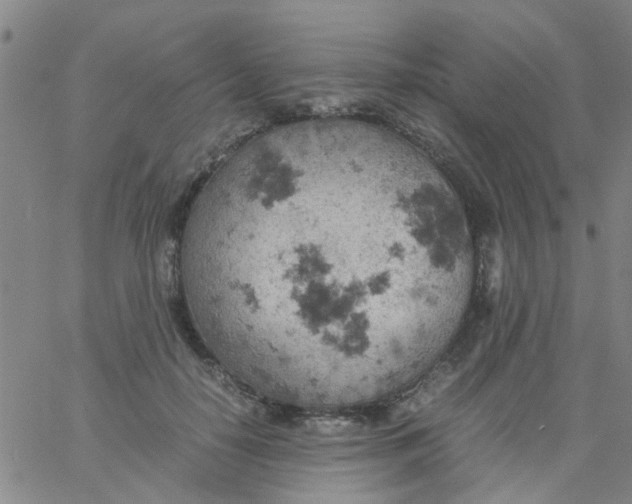 X0000061740650200512231501