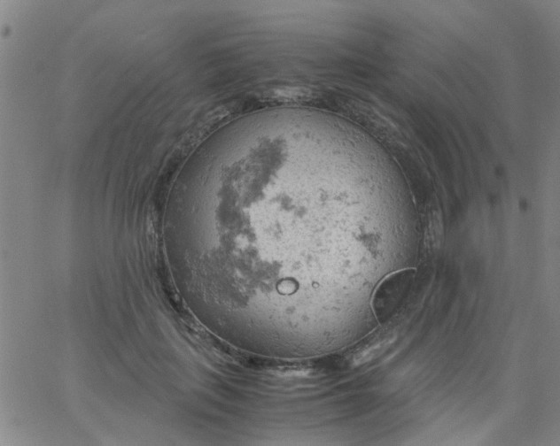 X0000061740651200512231501