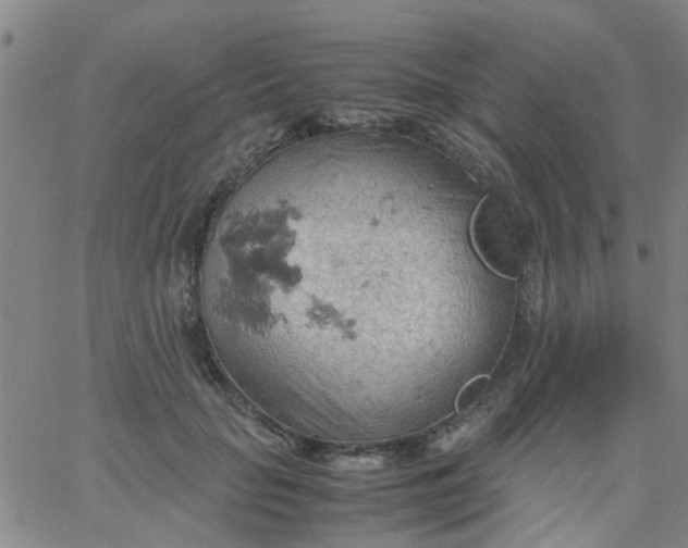 X0000061740653200512231501