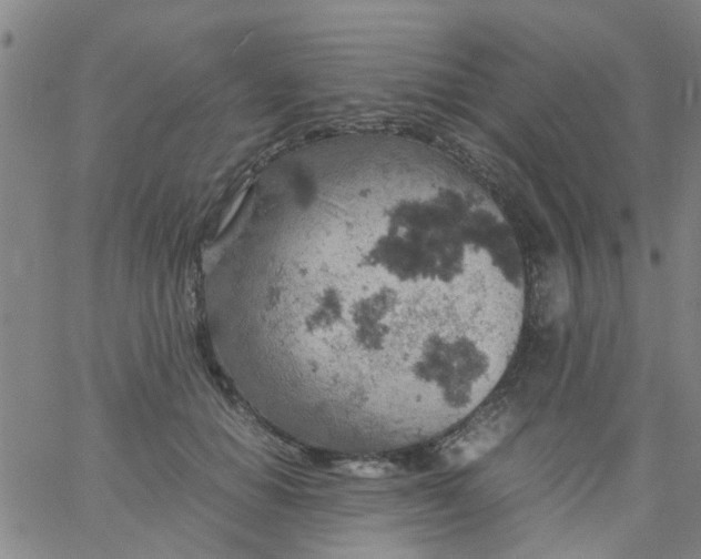 X0000061740654200512231501