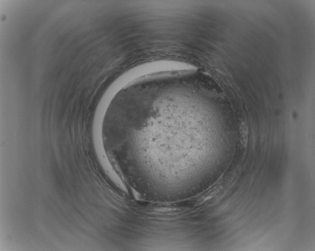 X0000061740657200512231501