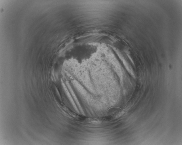 X0000061740658200512231501