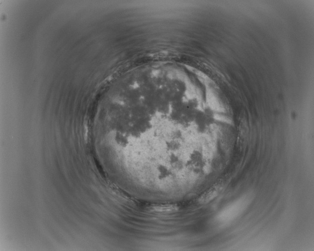 X0000061740659200512231501