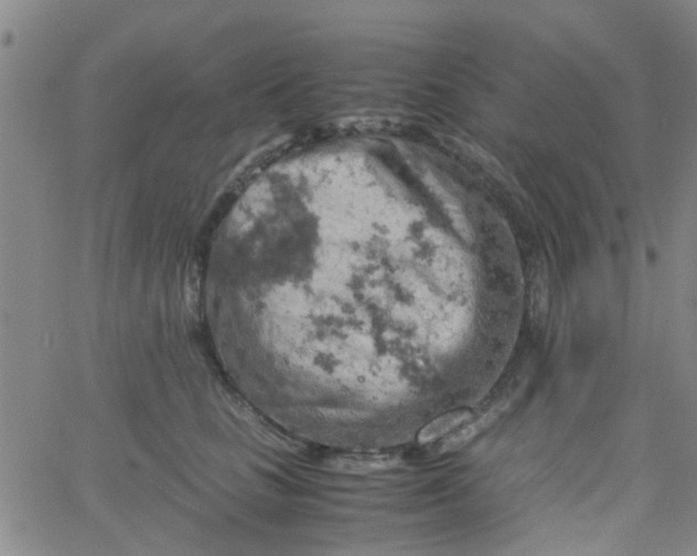 X0000061740661200512231501