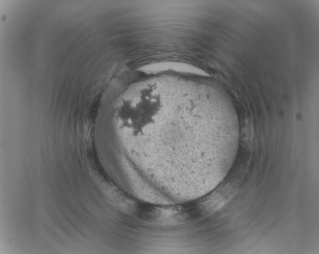 X0000061740662200512231501