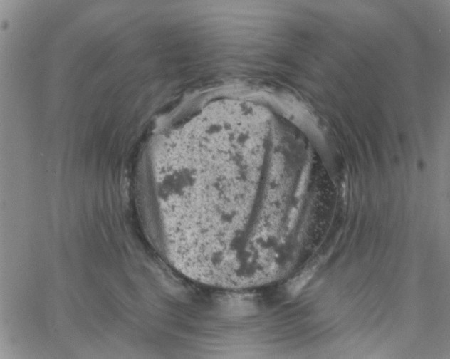 X0000061740664200512231501