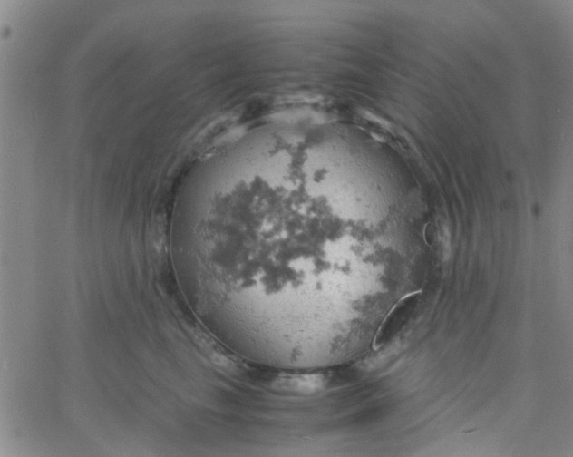 X0000061740665200512231501