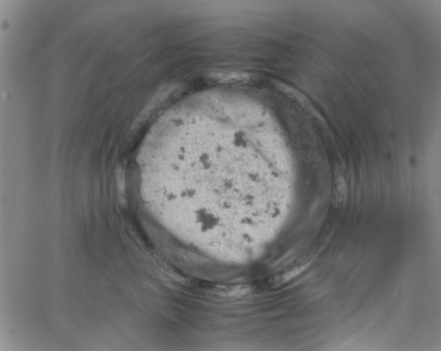 X0000061740667200512231501