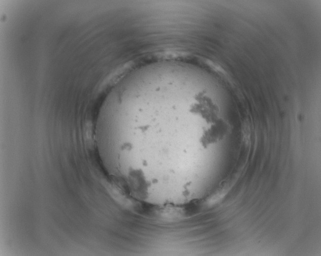 X0000061740670200512231501