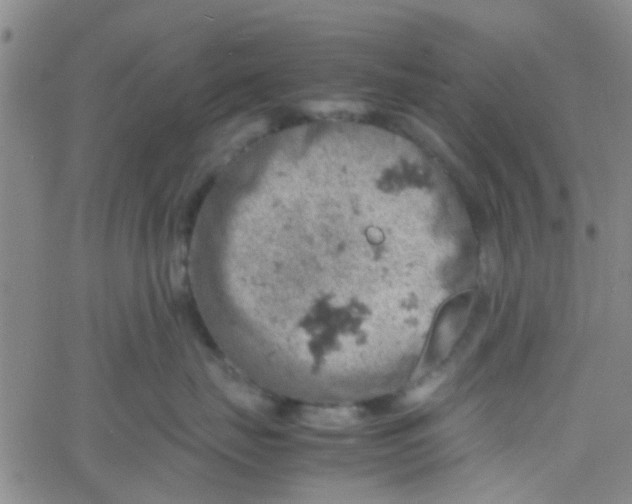 X0000061740671200512231501