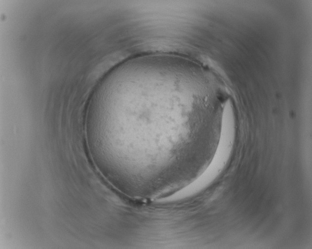 X0000061740673200512231501