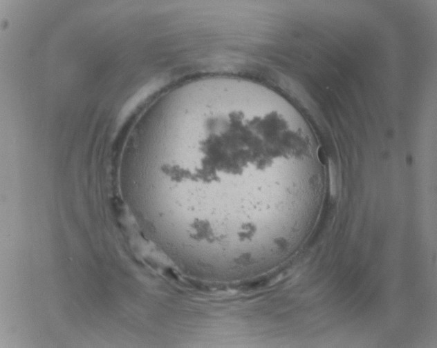 X0000061740675200512231501