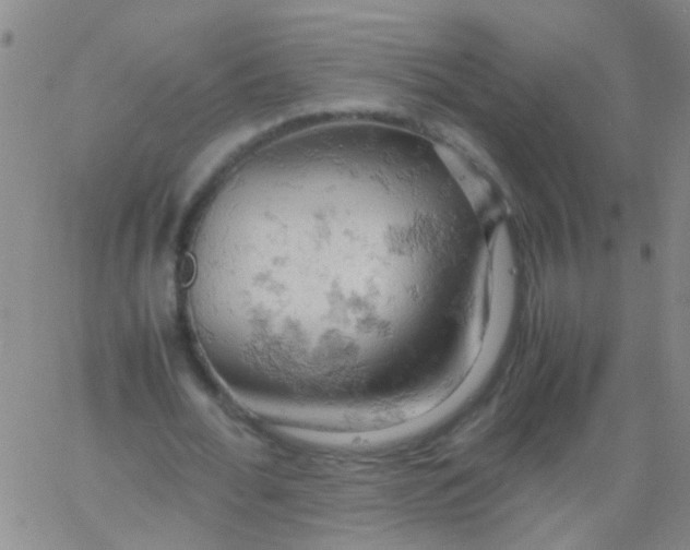 X0000061740676200512231501