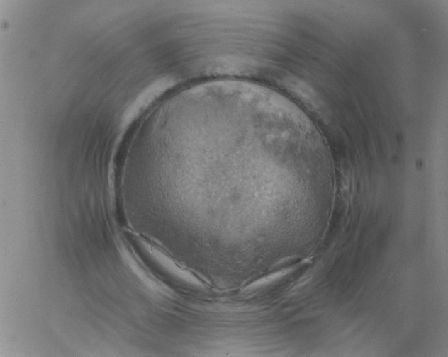 X0000061740678200512231500