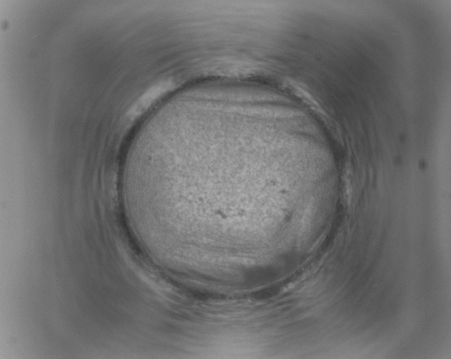 X0000061740679200512231500