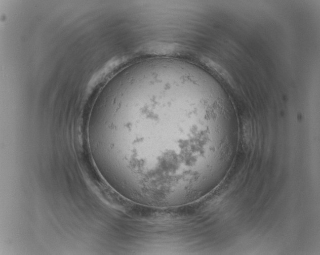 X0000061740682200512231500