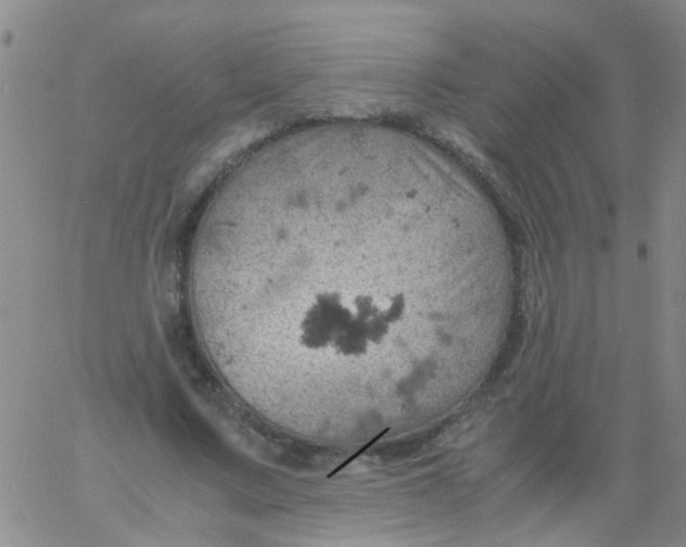 X0000061740683200512231500