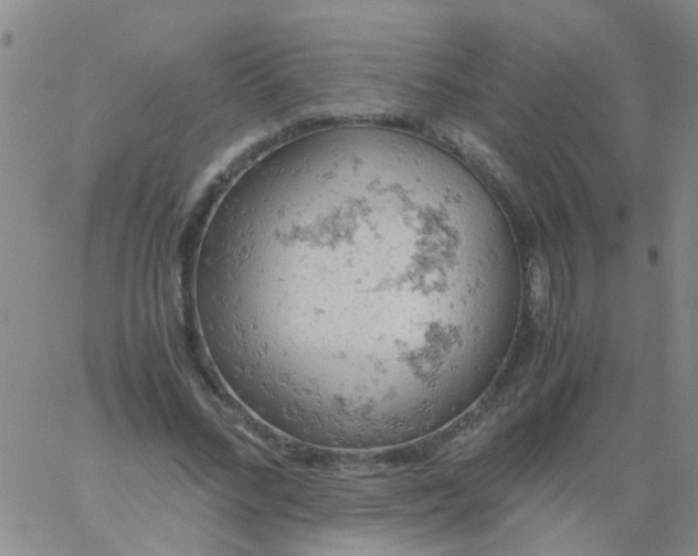 X0000061740684200512231500