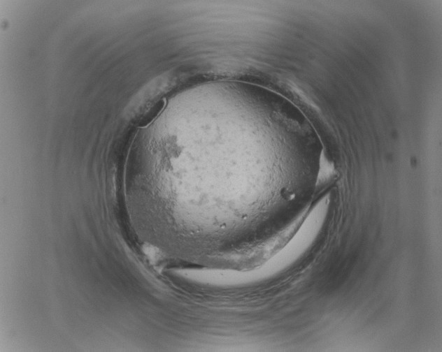 X0000061740685200512231500