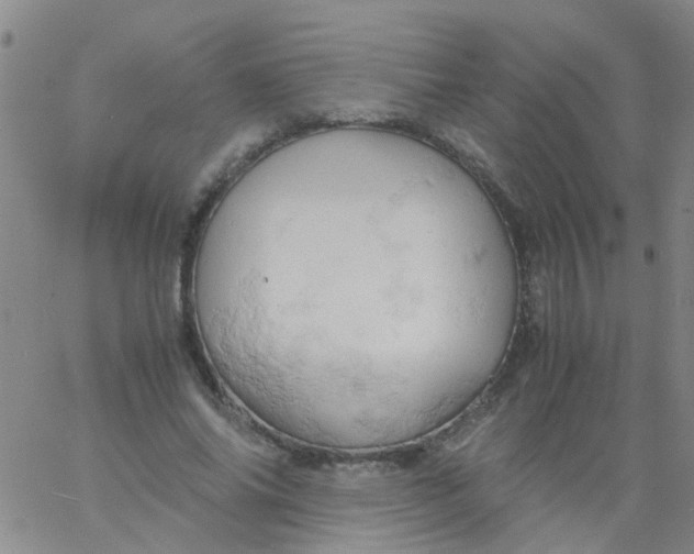 X0000061740686200512231500