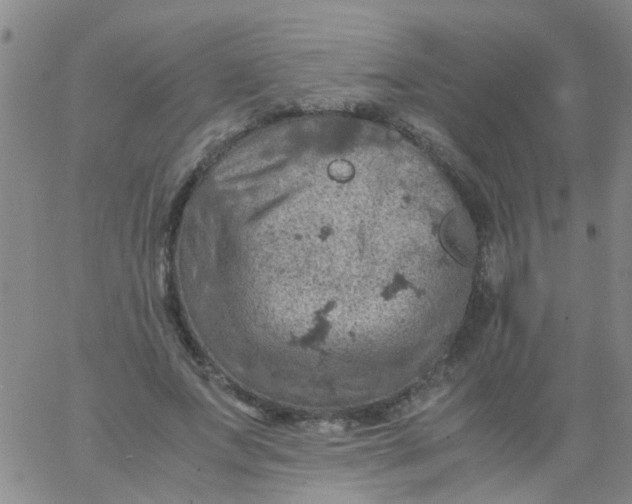 X0000061740687200512231500