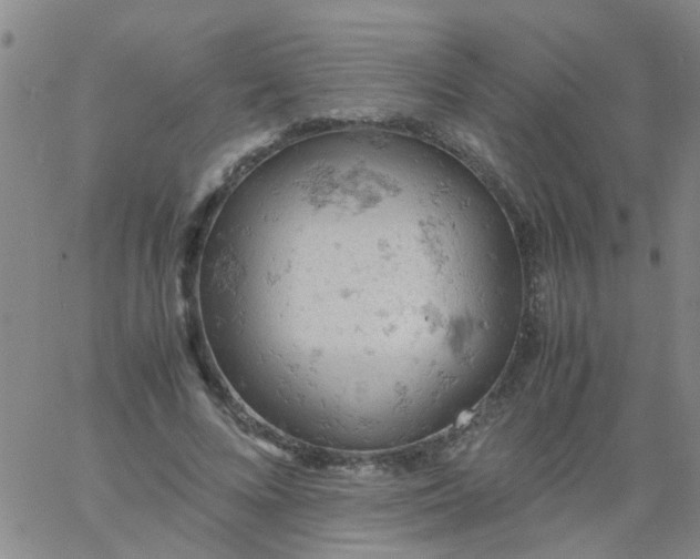 X0000061740688200512231500