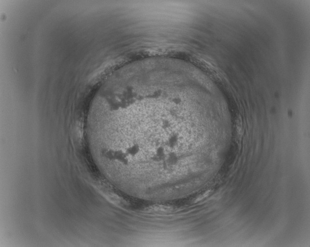 X0000061740691200512231500