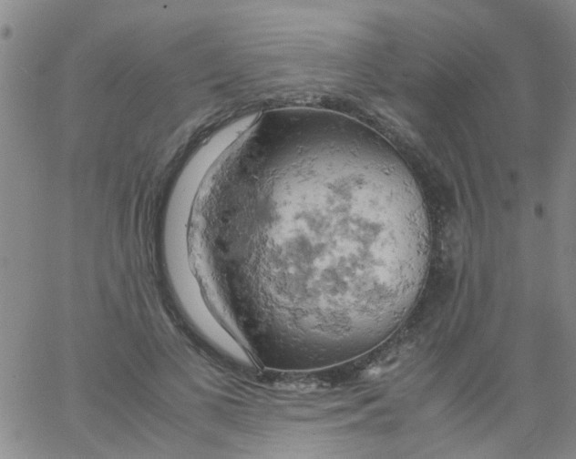 X0000061740693200512231500