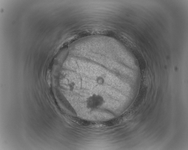 X0000061740695200512231500