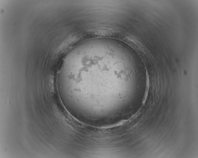 X0000061740696200512231500