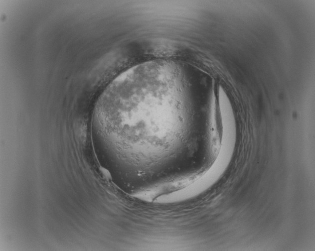 X0000061740697200512231500