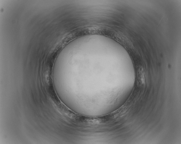 X0000061740698200512231500