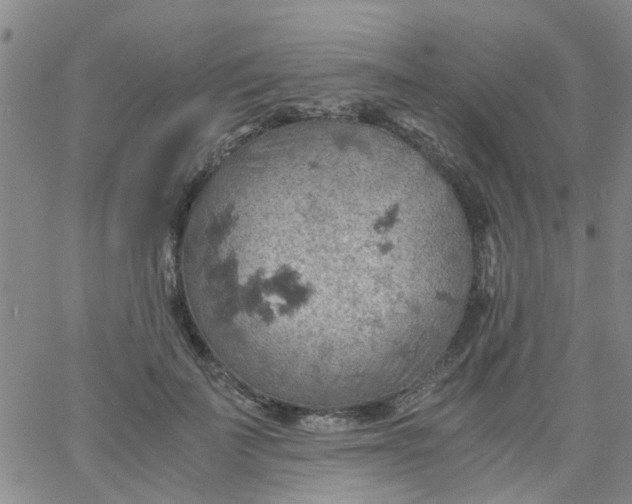 X0000061740699200512231500