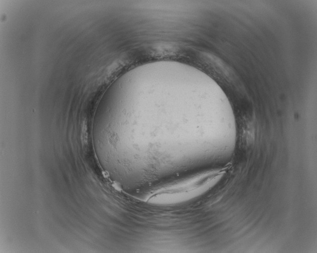 X0000061740700200512231500